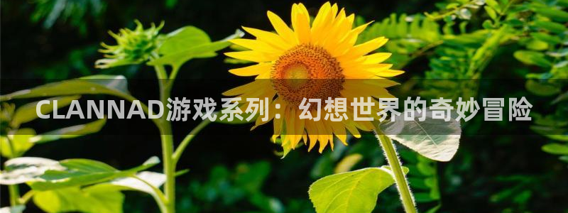 pp电子官网注册平台怎么注册不了：CLANNAD游戏系列：幻想世界的奇妙冒险