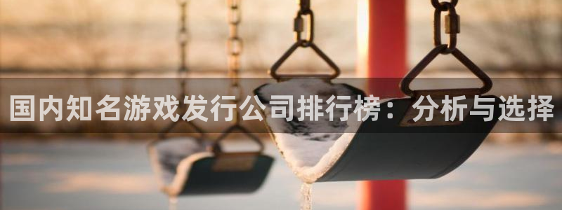 pp电子官网注册方法有哪些呢：国内知名游戏发行公司排行榜：分析与选择
