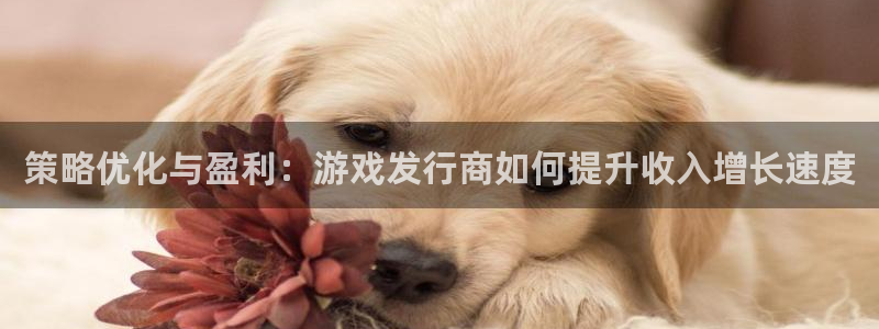 陕西pp电子子文化创意有限公司有什么游戏