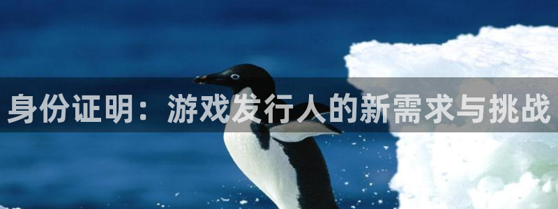 作者pp电子子小说