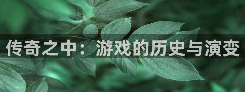 pp电子官网分红