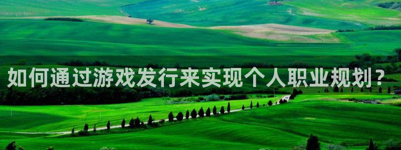 pp电子官网平台代理条件怎么样