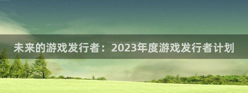 pp电子官网注册平台登录：未来的游戏发行者：2023年度游戏发行者计划