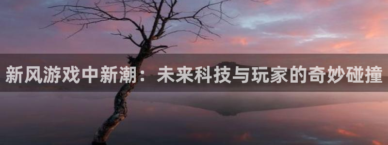 陕西pp电子子文化创意有限公司是做什么的：新风游戏中新潮：未来科技与玩家的奇妙碰撞