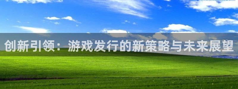 pp电子官网官网注册账号：创新引领：游戏发行的新策略与未来展望