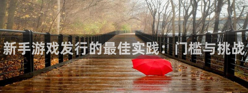 pp电子官网的奇趣腾讯是真的吗吗：新手游戏发行的最佳实践：门槛与挑战