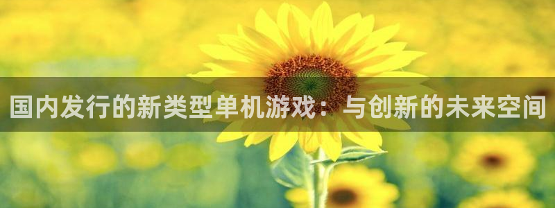 pp电子官网注册平台登录：国内发行的新类型单机游戏：与创新的未来空间