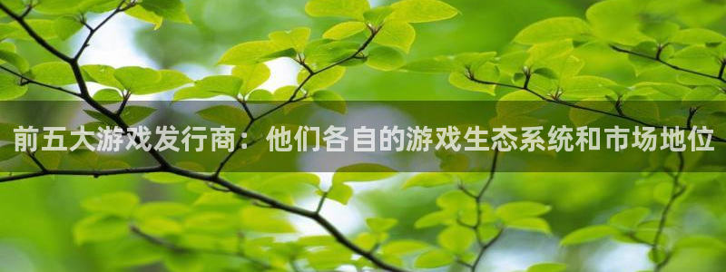 pp电子官网的奇趣腾讯是真的吗