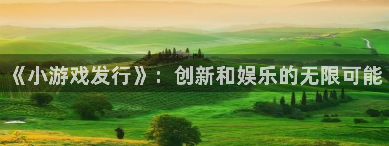 pp电子官网平台代理开号怎么开