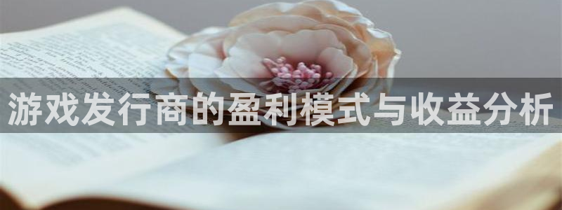 pp电子技术有限公司官网：游戏发行商的盈利模式与收益分析