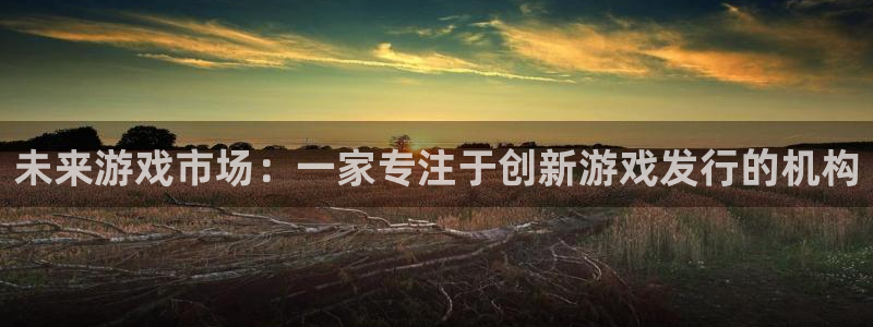 pp电子商标
