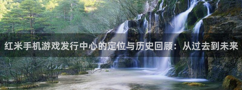 lvncespp电子衣服价格：红米手机游戏发行中心的定位与历史回顾：从过去到未来