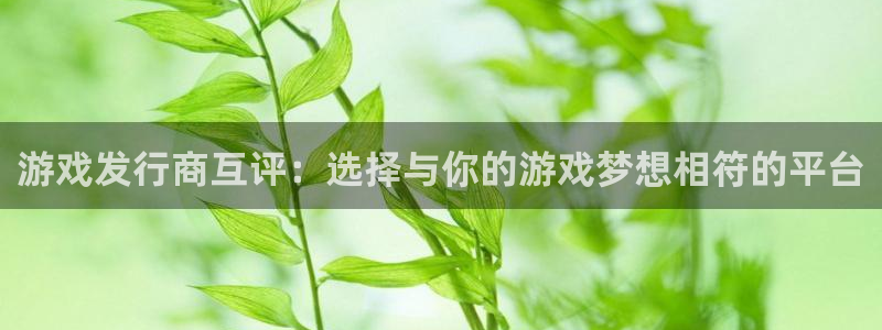 pp电子怪兽：游戏发行商互评：选择与你的游戏梦想相符的平台