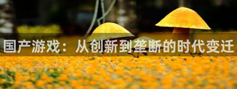 pp电子官网客服服务电话