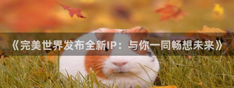 pp电子lvnces是什么档次