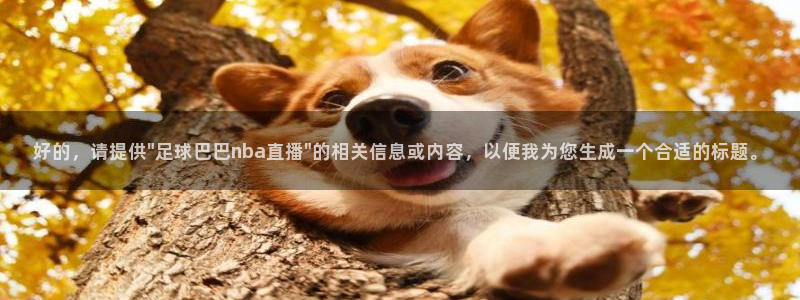 蜘蛛体育直播app下载官网：好的，请提供\