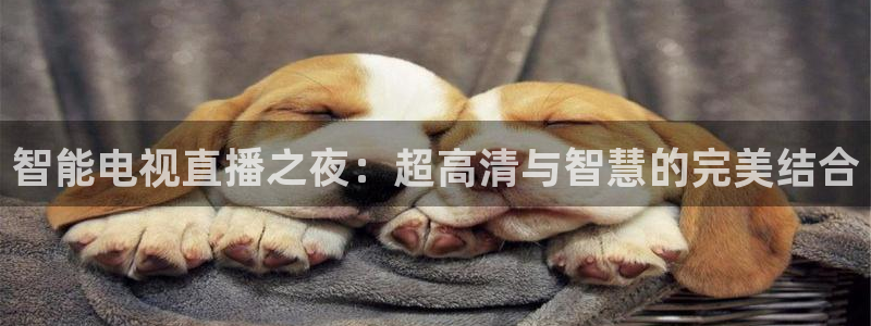 蜘蛛足球：智能电视直播之夜：超高清与智慧的完美结合
