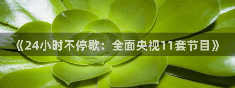 蜘蛛体育免费：《24小时不停歇：全面央视11套节目》