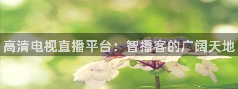 nba蜘蛛免费直播：高清电视直播平台：智播客的广阔天地