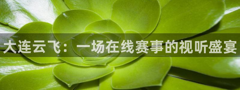 nba蜘蛛直播免费直播在线直播：大连云飞：一场在线赛事的视听盛宴