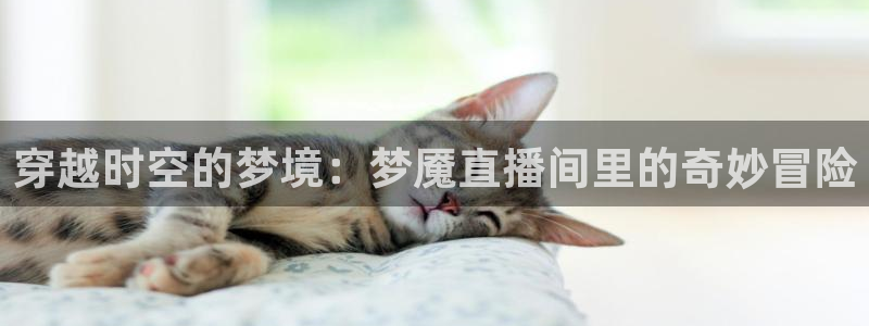 蜘蛛篮球：穿越时空的梦境：梦魇直播间里的奇妙冒险