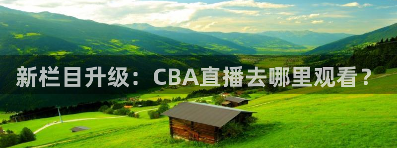 蜘蛛直播体育可可直播：新栏目升级：CBA直播去哪里观看？