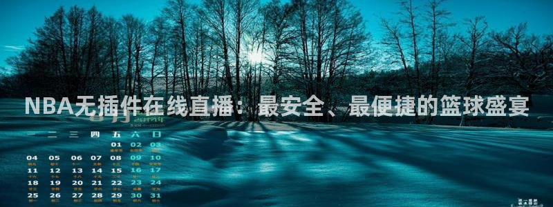 nba蜘蛛：NBA无插件在线直播：最安全、最便捷的篮球盛宴