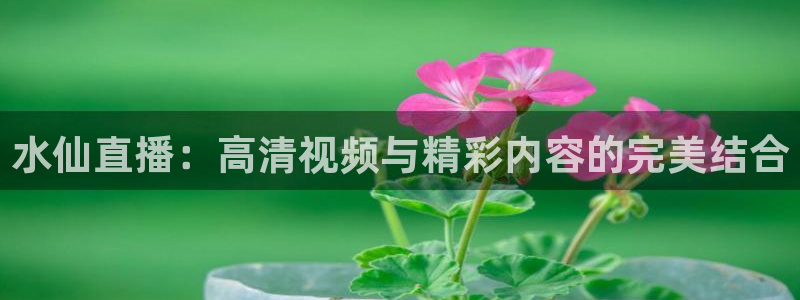 蜘蛛体育直播app下载官网：水仙直播：高清视频与精彩内容的完美结合
