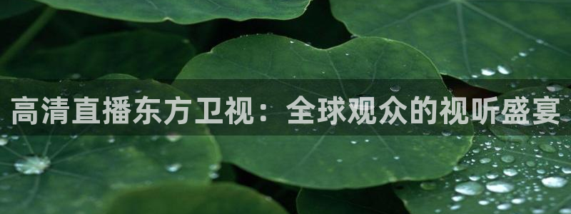 蜘蛛直播 nba：高清直播东方卫视：全球观众的视听盛宴
