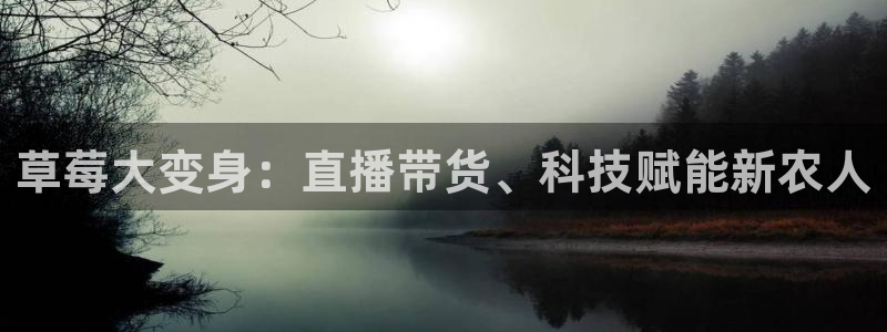 蜘蛛nba：草莓大变身：直播带货、科技赋能新农人