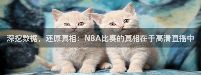 蜘蛛nba直播：深挖数据，还原真相：NBA比赛的真相在于高清直播中