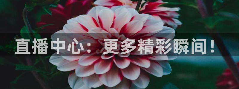 蜘蛛直播体育可可直播：直播中心：更多精彩瞬间！